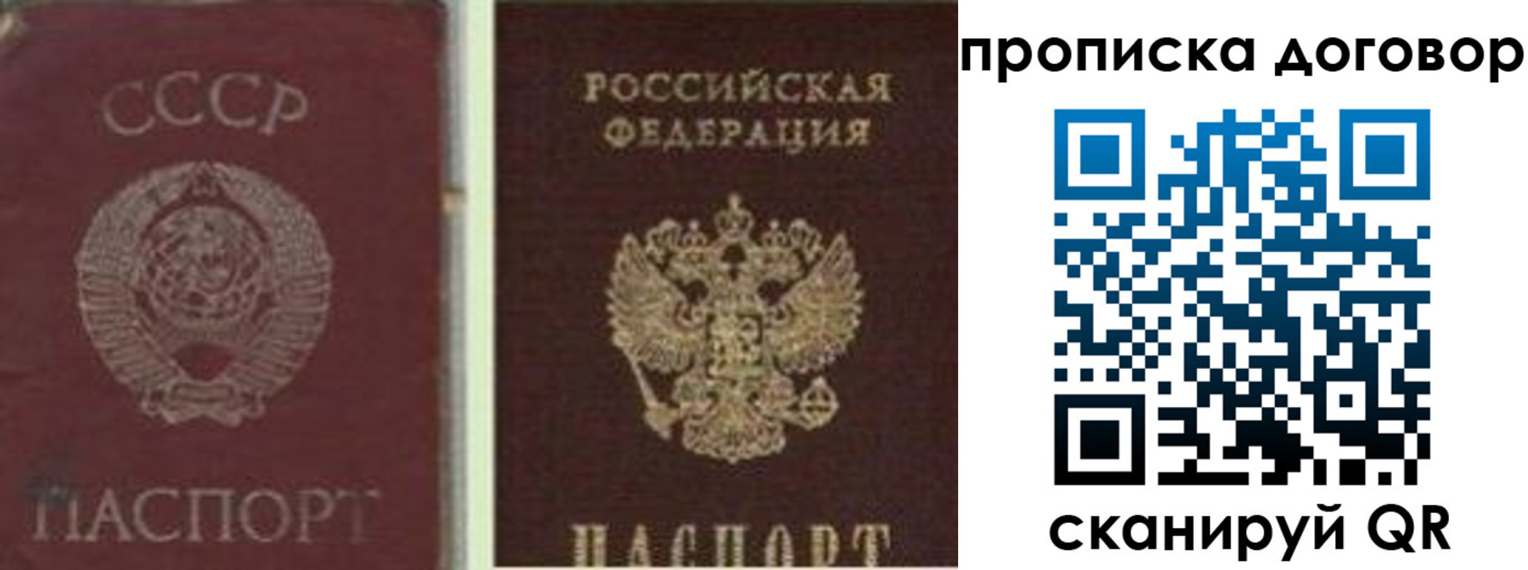 прописка гарантия в Боготоле